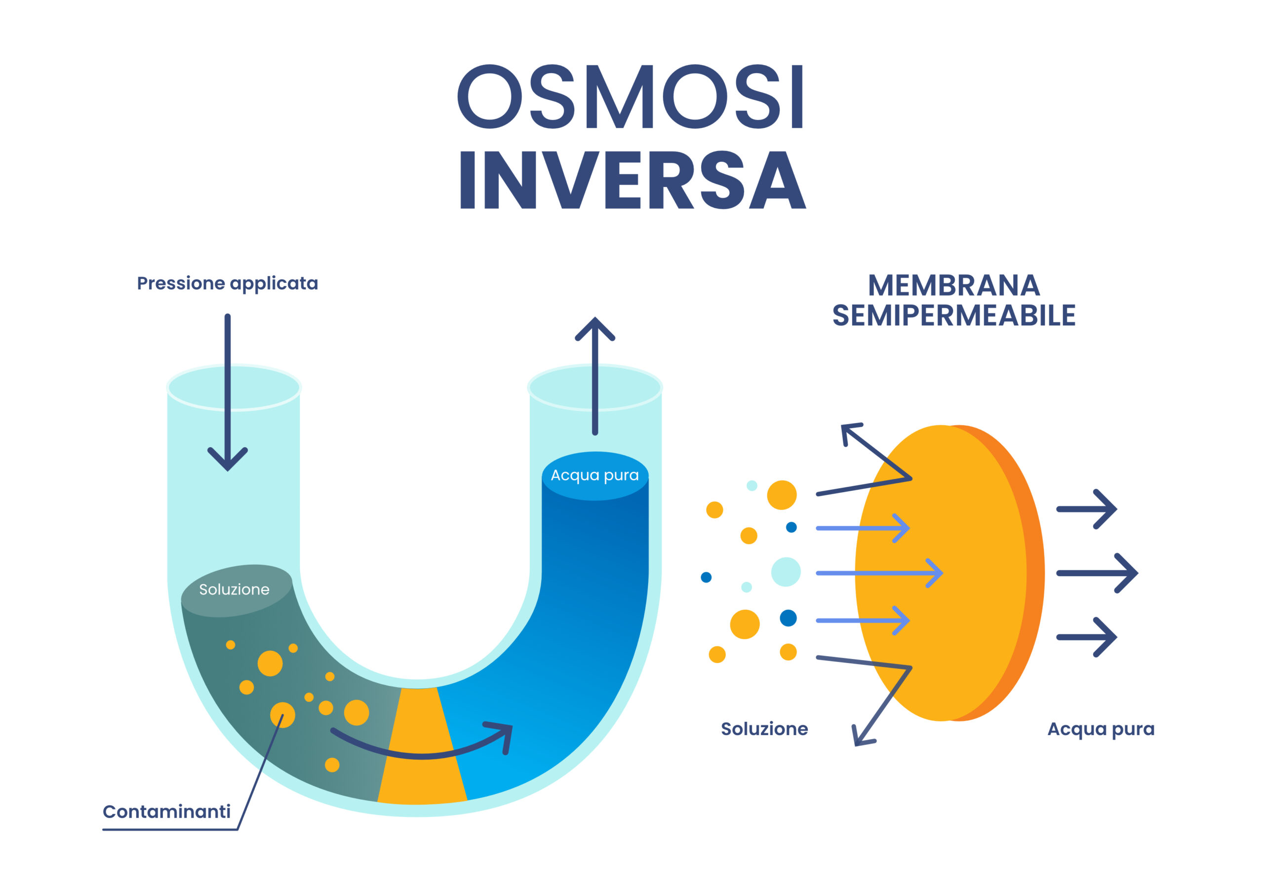 Osmosi inversa: il segreto per bicchieri splendenti nel tuo ristorante